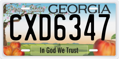 GA license plate CXD6347