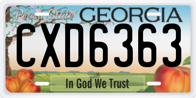 GA license plate CXD6363