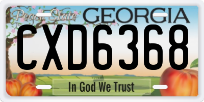 GA license plate CXD6368