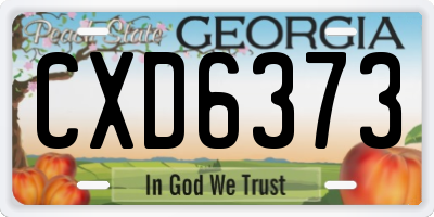 GA license plate CXD6373
