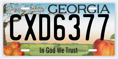 GA license plate CXD6377
