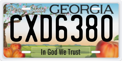 GA license plate CXD6380