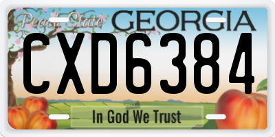 GA license plate CXD6384