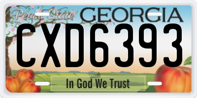 GA license plate CXD6393