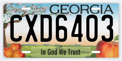 GA license plate CXD6403