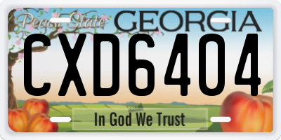 GA license plate CXD6404