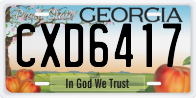 GA license plate CXD6417