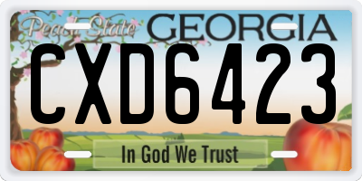 GA license plate CXD6423