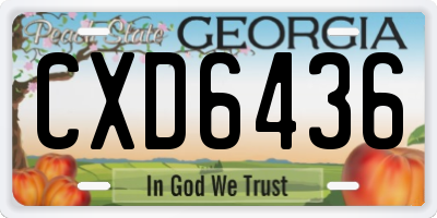 GA license plate CXD6436