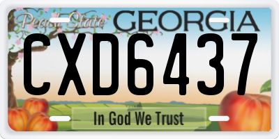 GA license plate CXD6437