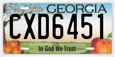 GA license plate CXD6451