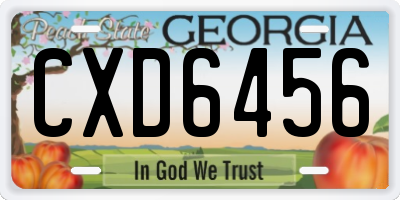 GA license plate CXD6456