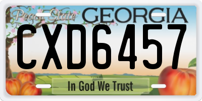 GA license plate CXD6457
