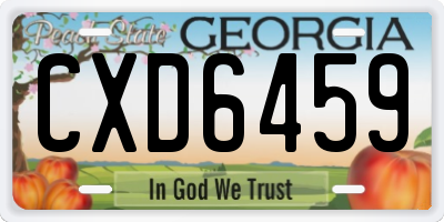 GA license plate CXD6459