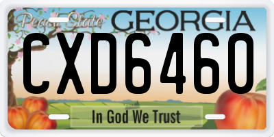 GA license plate CXD6460
