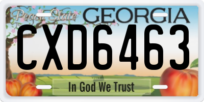GA license plate CXD6463