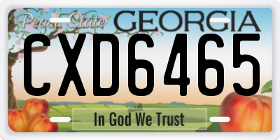 GA license plate CXD6465