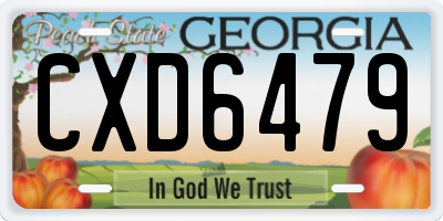 GA license plate CXD6479