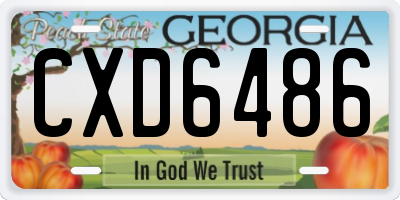 GA license plate CXD6486