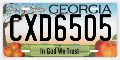 GA license plate CXD6505