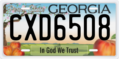 GA license plate CXD6508