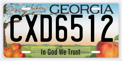 GA license plate CXD6512