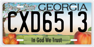 GA license plate CXD6513
