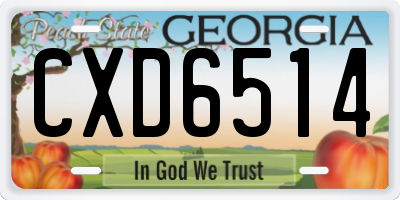 GA license plate CXD6514