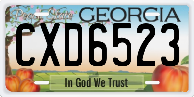 GA license plate CXD6523