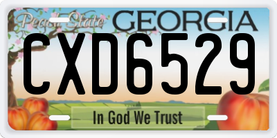 GA license plate CXD6529