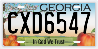 GA license plate CXD6547