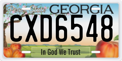 GA license plate CXD6548