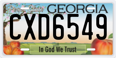 GA license plate CXD6549