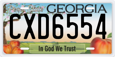 GA license plate CXD6554