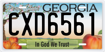 GA license plate CXD6561