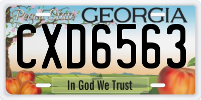 GA license plate CXD6563