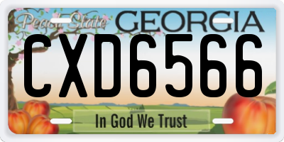 GA license plate CXD6566