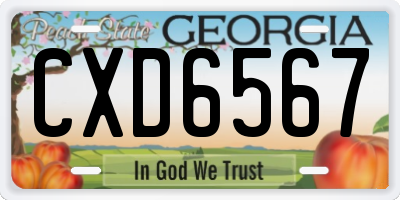 GA license plate CXD6567