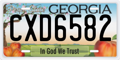 GA license plate CXD6582