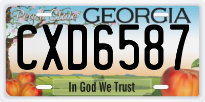 GA license plate CXD6587