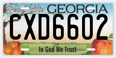 GA license plate CXD6602