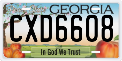 GA license plate CXD6608