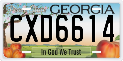 GA license plate CXD6614