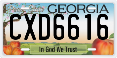 GA license plate CXD6616