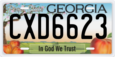 GA license plate CXD6623