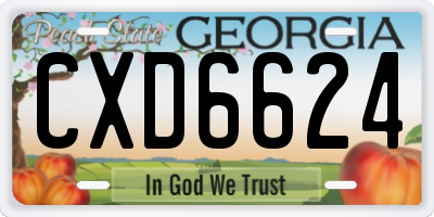 GA license plate CXD6624