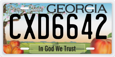 GA license plate CXD6642