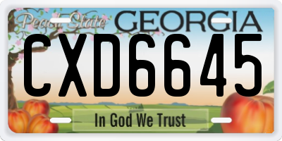 GA license plate CXD6645