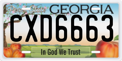 GA license plate CXD6663