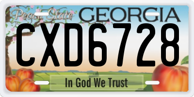 GA license plate CXD6728